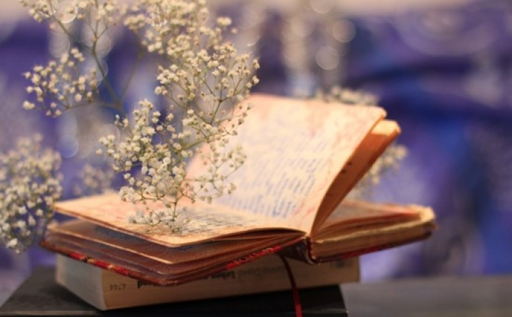 疫情这三年…………